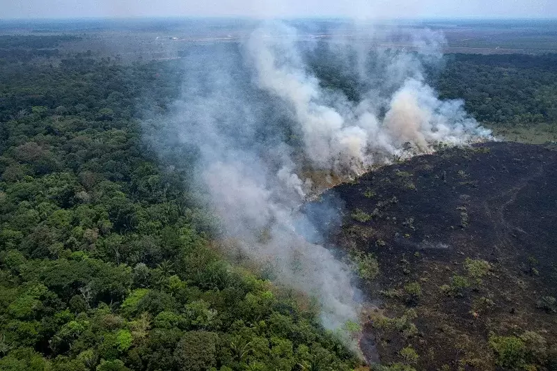 Com foco na COP30, Brasil anuncia iniciativa global de combate à desinformação sobre mudanças climáticas